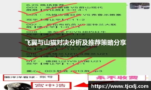飞翼与山猫对决分析及推荐策略分享
