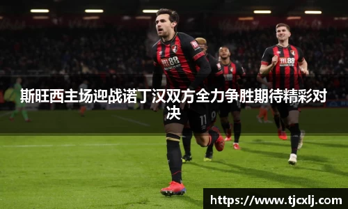 斯旺西主场迎战诺丁汉双方全力争胜期待精彩对决