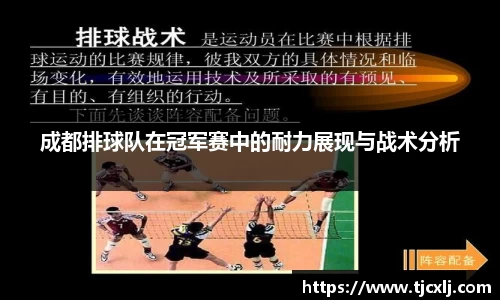 成都排球队在冠军赛中的耐力展现与战术分析